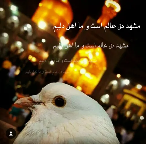 امام هشتم