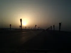 بوشهر