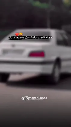 بچه شیر دادا دشمن بمیره دادا ❤️🦁