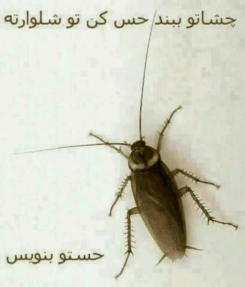 جالبه جواب بده؟