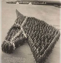 🌎تصویری جالب از ادای احترام سربازان جنگ جهانی اول به اسبه