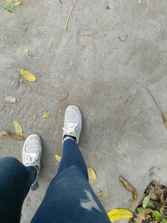 قدم هایم دگر بار رنگ پاییز گرفته است 