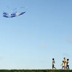 A kite flying over the Galle Fort
