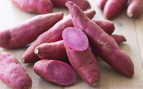 سیب زمینی شیرین بنفش: Purple Sweet Potato
