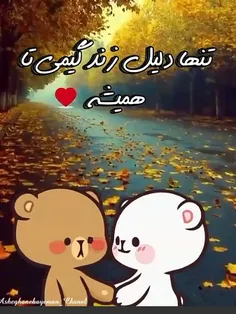 💕مخاصب خاص💕