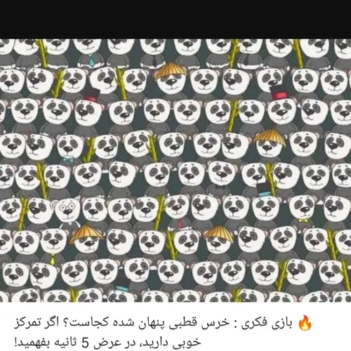 عکسشو برام بفرست اگه پیدا کردی