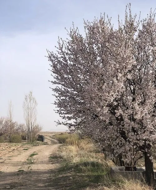 معمولا جاده های دشوار