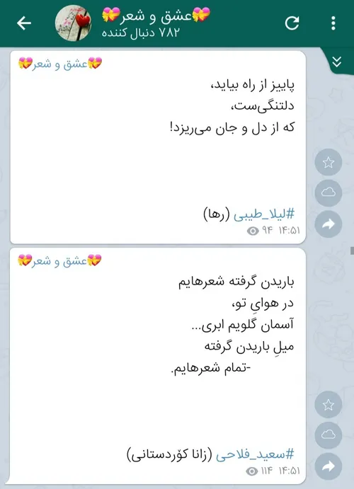 سعید فلاحی