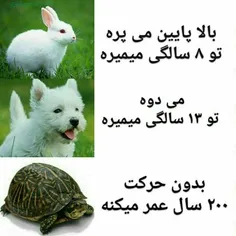 تا آخر عمر بی حرکت باشید😃 😃 😃