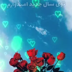 سال نو پیشاپیش مبارک باشه 💙💙❤❤❤