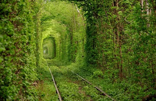 تونل عشق - تونل قطار قدیمی در Kleven، اوکراین