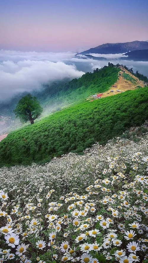 ایران زیبا