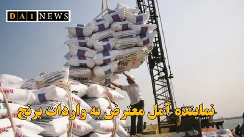 نماینده مردم آمل از حجم واردات بی رویه برنج انتقاد کرد