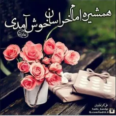 شهر من یک گل به نام#حضرت_معصومه دارد🌹  