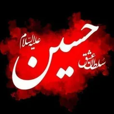 #حب_الحسین_یجمعنا