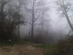جنگل هاي اطراف شهرستان علي آباد کتول استان گلستان
