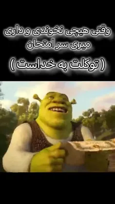 توکل به خداست🤣✅️