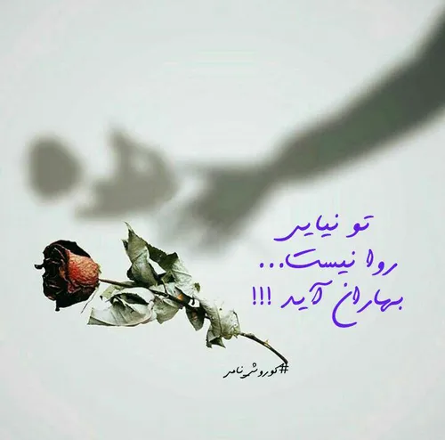 عکس نوشته