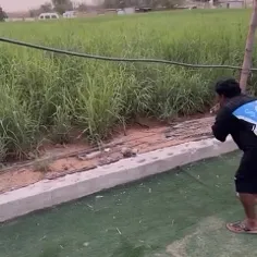 989213_4144 77496825