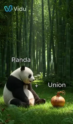 *پیج شگفت انگیز ویسگون*تشکرازلایک و حضورتون*