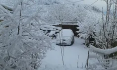 خرم آباد بیرانشهر روستای گل زردخونه  عمو محمد