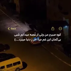 بی گمان این غم مرا آخر ز دنیا میبرد