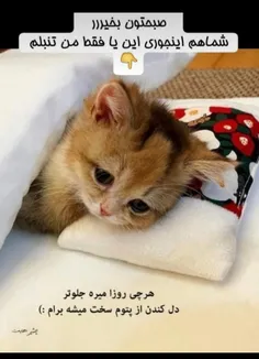 سلام صبح بخیر😴