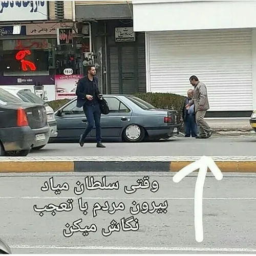 گوناگون 405 22761238 - عکس ویسگون