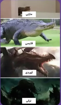 ترکا چی بلدین؟😂 به منم یاد بدین🥴