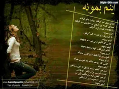 ز14