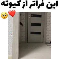 اینم برا گربه لاورا🥲❤