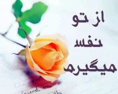 سلام  صبح بخیر روزتون عسلی