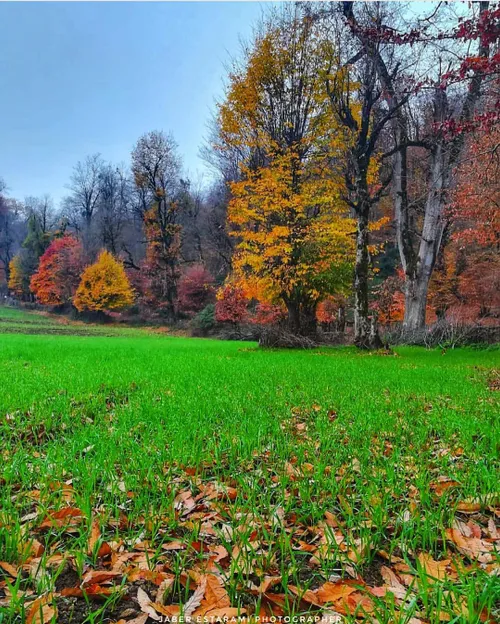 رقص رنگها، مازندران