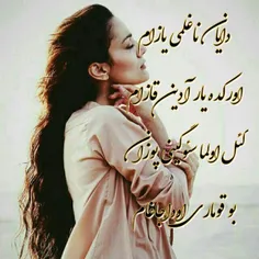 گوناگون sogandam_76_13 33050733