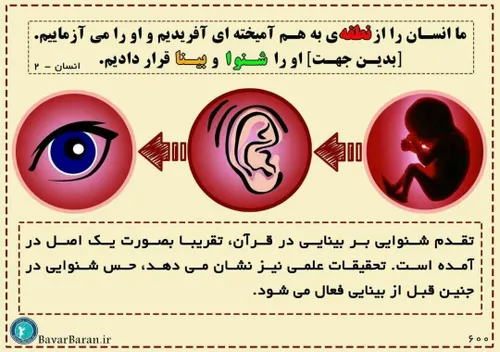 خداوند در قرآن اشاره کرده که حس شنوایی در جنین پیش از بین