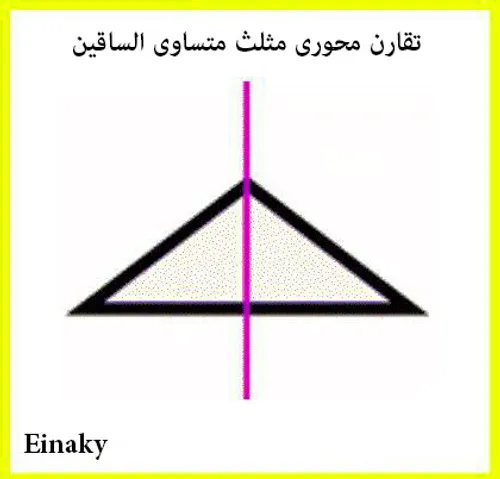 گوناگون einaky 27392904 - عکس ویسگون