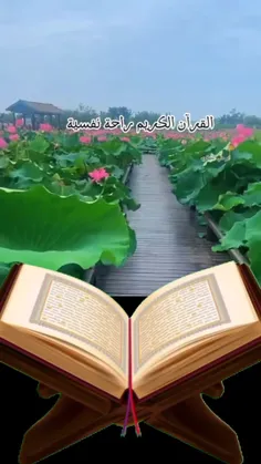 تلاوت زیبای قرآن کریم🌹