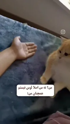 خندون دلتون خش #بی_تی_اس #کلیپ #ویسگون #عاشقانه #طنز #کیپ
