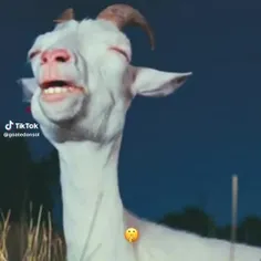 GOAT🚬🗿