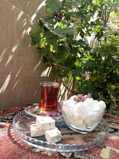 چنان نماند  چنین نیز هم نخواهد ماند