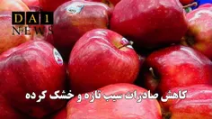 آمارهای گمرک؛ کاهش صادرات سیب تازه و خشک کرده