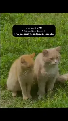 بهشت برای من🥲:)