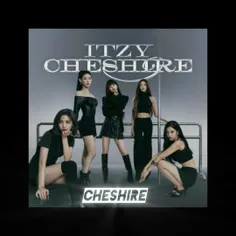 CHESHIRE itzy 