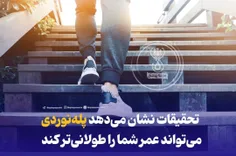 تحقیقات نشان می‌دهد پله‌نوردی می‌تواند عمر شما را طولانی‌