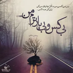 شبی درعالم مستی