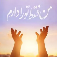 گاهی؛