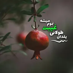 #خادم_نوشت