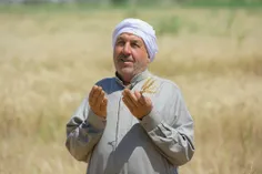 گزارش تصویری|خرمشهر در فصل برداشت گندم