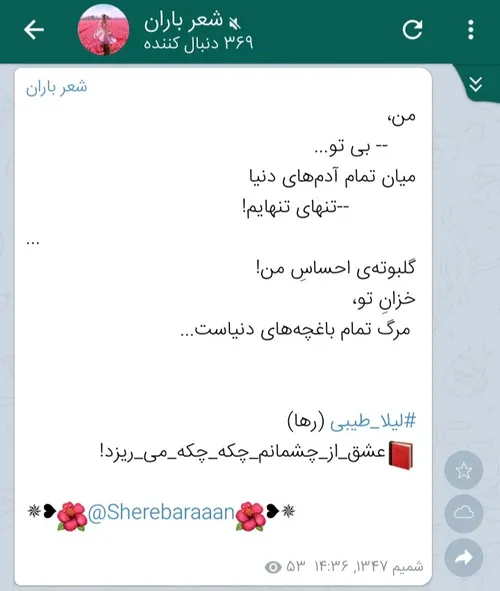 سعید فلاحی