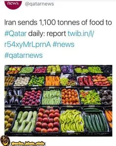 ایران روزانه ١١٠٠ تن مواد غذایی به قطر ارسال میکند